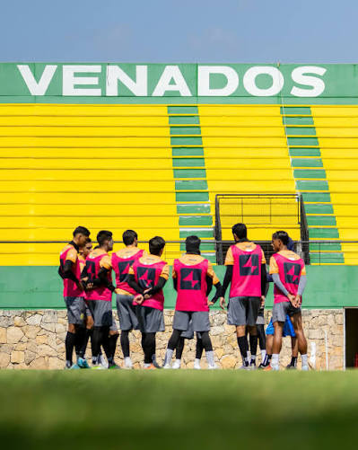 Venados de Yucatán celebran 38 años de historia
