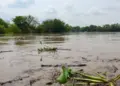 Pichucalco acumula 194 milímetros de lluvia por frente frío 2; prevén más precipitaciones