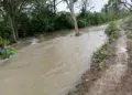 IPCET mantiene alerta roja por niveles elevados de los ríos Usumacinta y Pichucalco