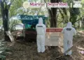 Marina, SSPC y FGR localizan y neutralizan laboratorio clandestino en Sinaloa
