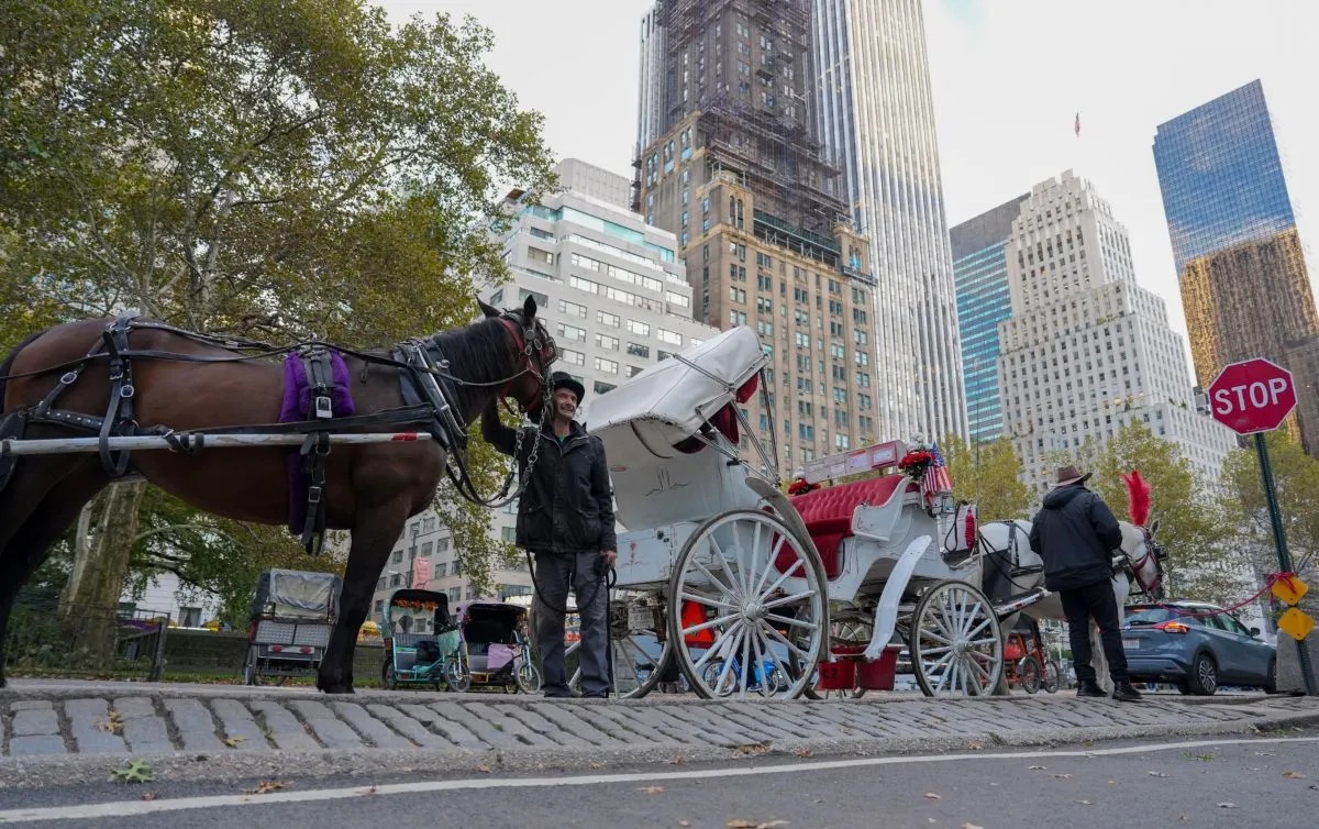 Nueva York prohibirá los carruajes tirados por caballos a partir de 2028