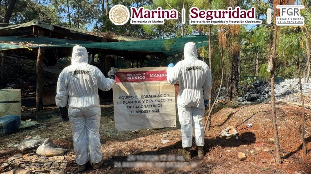 Desmantelan dos laboratorios de metanfetamina en Durango; decomisan droga y químicos