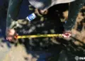 INAH confirma descubrimiento de 50 huellas de dinosaurios en Apatzingán, Michoacán