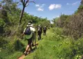 Camino del Mayab gana reconocimiento internacional