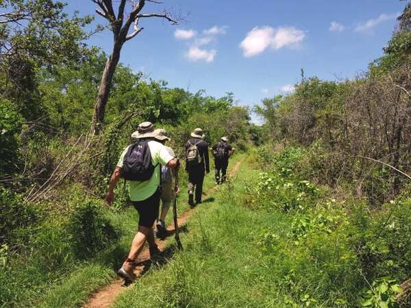 Camino del Mayab gana reconocimiento internacional